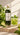 Gin Basil Smash – frisches Basilikum und Limetten Mood-Setting im Sonnenlicht
