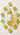 Caipi Spritz – editorisches Flatlay mit Limetten und Eis