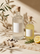Spirituosen – Mood mit Gin und Limoncello im Sonnenlicht
