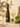 Koch × Erasmus Riesling Kabinett trocken – Flasche und Glas im Sonnenlicht